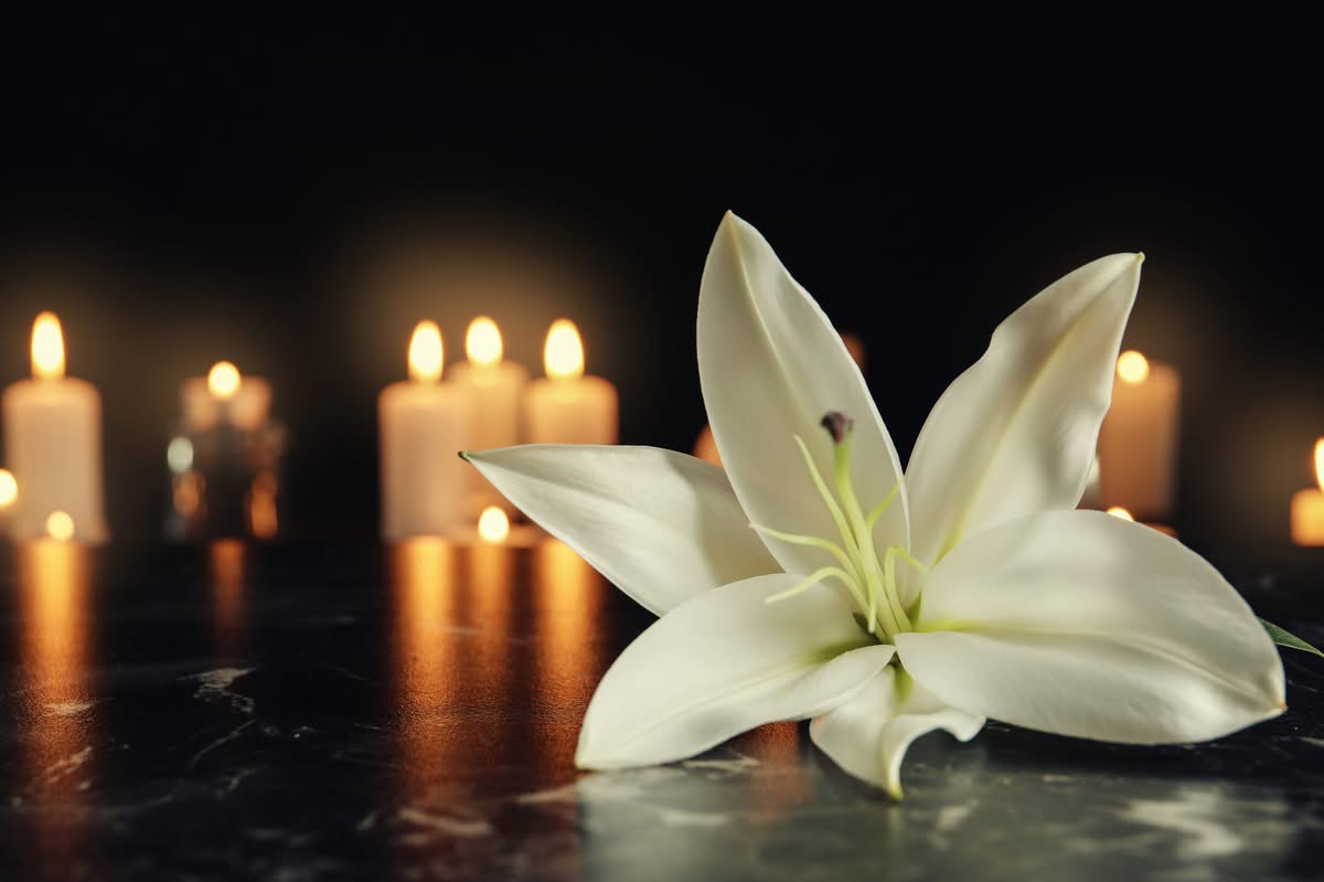 Tara Yates, Lincoln NE, Obituary, Death: Honoring the Life and Legacy of Tara Yates of Lincoln
