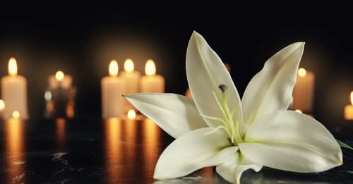 Daniel Ashman Ann Arbor MI, Obituary- Death: In loving Memory of Coach Daniel Ashman